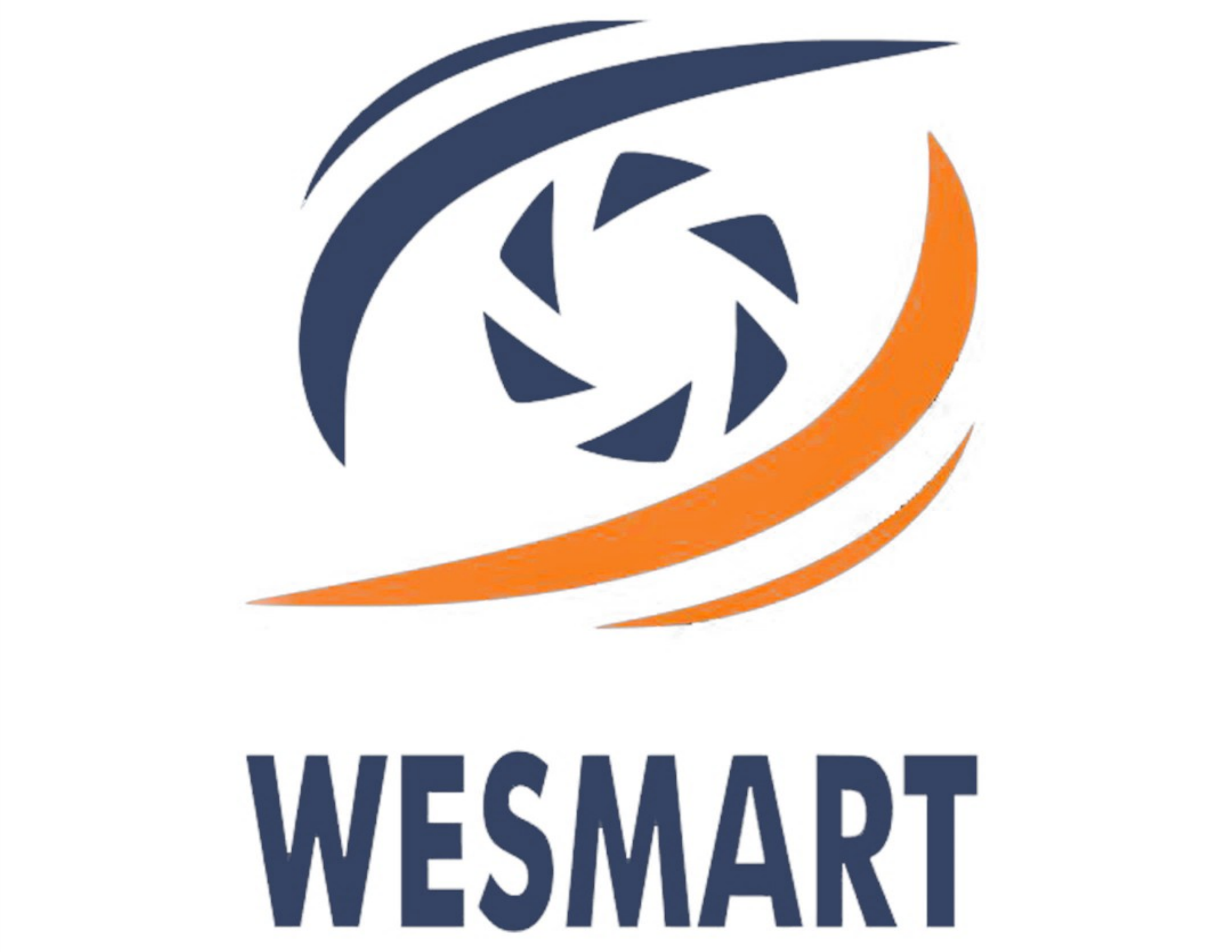 WeSmart logo